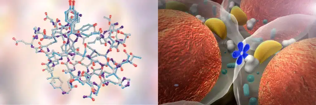 วิธีส่งเสริมการผลิตโกรทฮอร์โมนตามธรรมชาติ