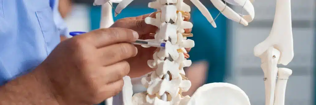 โครงกระดูก