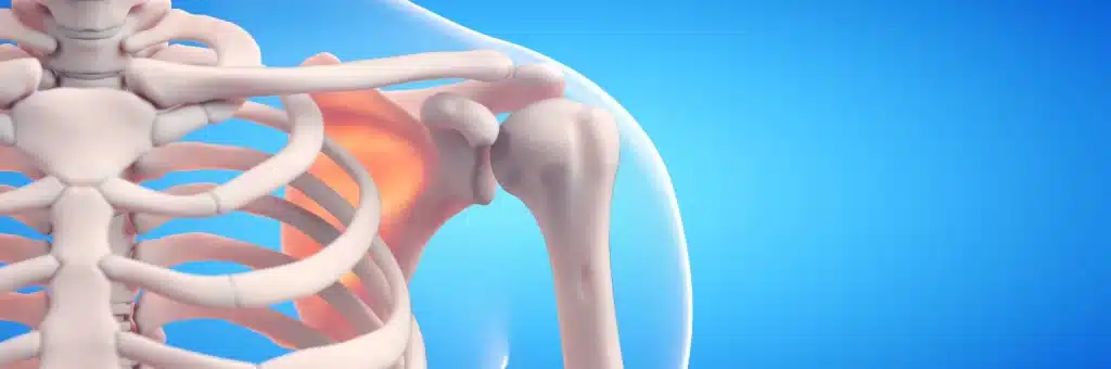 ระบบโครงสร้างกระดูก