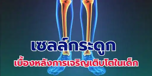 เซลล์กระดูก เบื้องหลังการเจริญเติบโตในเด็ก