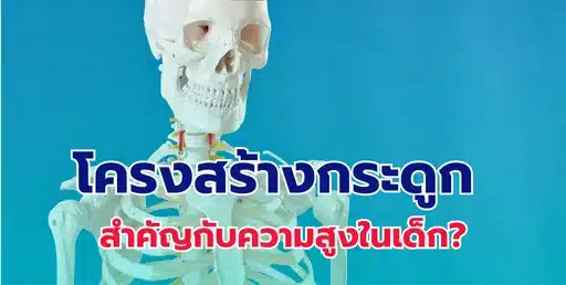 โครงสร้างกระดูก